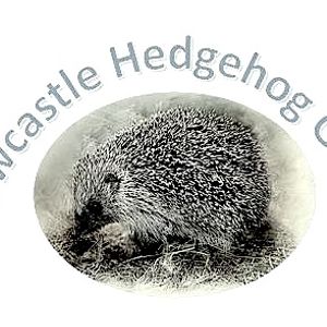 Newcastle Hedgehog Rescue Logo