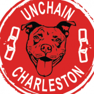 Unchain Charleston Logo