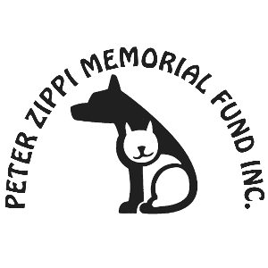 The Peter Zippi Memorial Fund