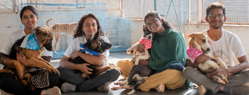 Stray Animal Foundation of India