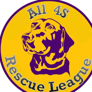 All 4s Rescue League Logo