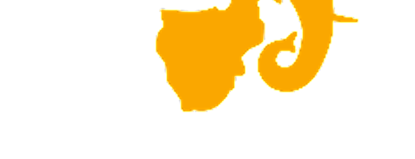 Over and Above Africa