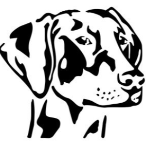 Lincs Dobermann Rescue Charity 1172592 Logo