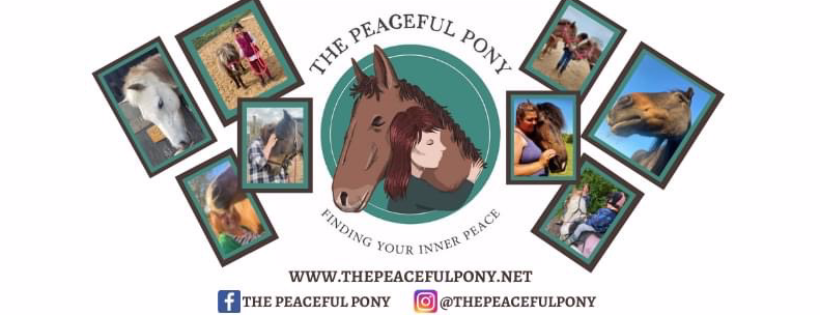 The Peaceful Pony