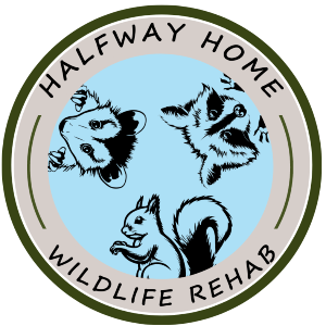 Halfway Home Wildlife Rehab Logo