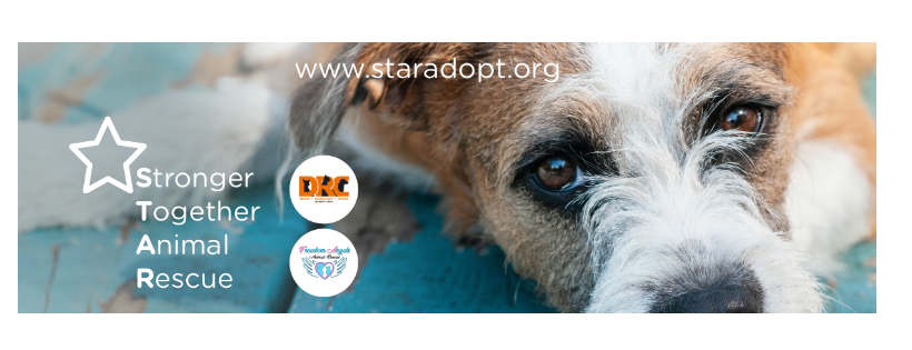 Stronger Together Animal rescue