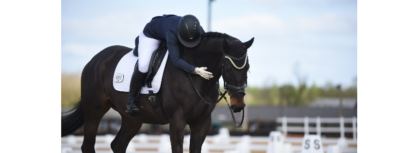 Retraining of Racehorses