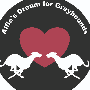 Alfies dream for greyhounds ltd