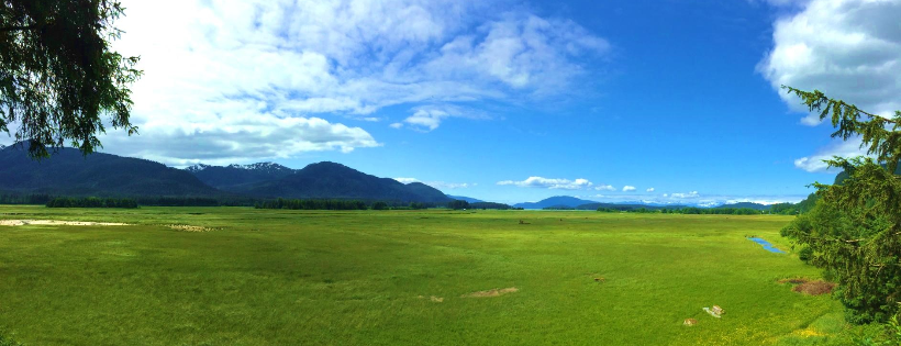 Southeast Alaska Land Trust