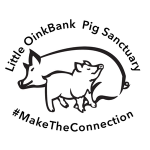 Little oink bank Logo
