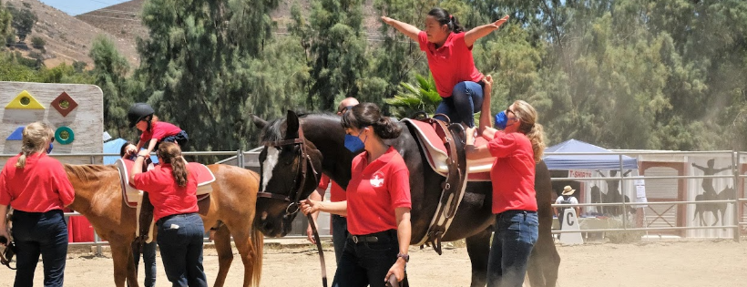 AHEAD With Horses Inc
