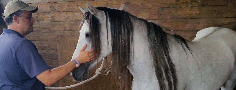 Happy Valley Horse Rescue Inc.