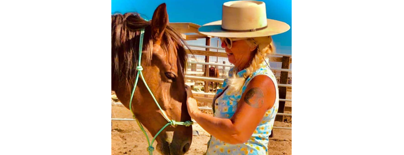 The Medicine Horse Project