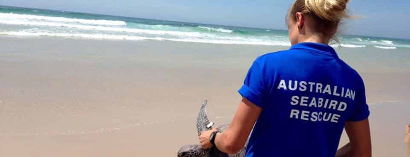 Australian Seabird Rescue Incorporated