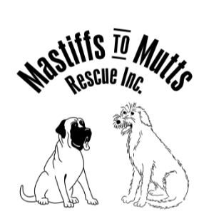 Mastiffs To Mutts Rescue Logo