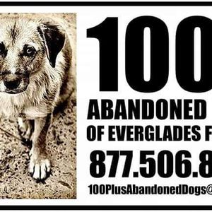 100 plus Animal Rescue Inc Logo
