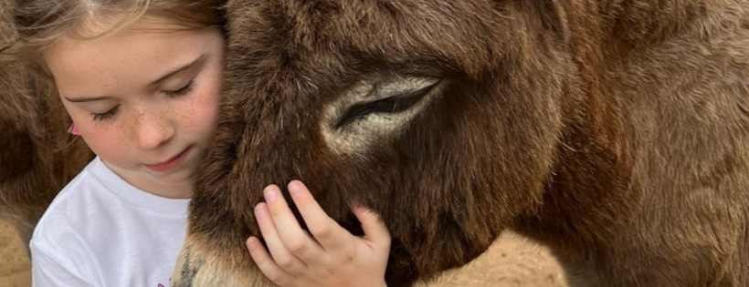 Loving Long Ears Donkey Therapy & Sanctuary, Inc