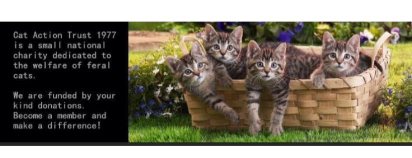 Cat Action Trust 1977 Leeds
