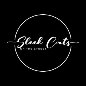 Sleek Cats on the Street