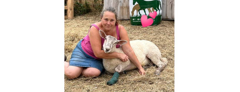 Sheep Ahoy aka Oli's Gang