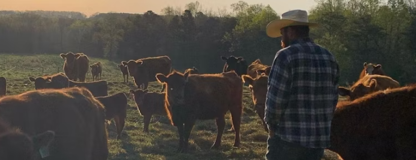 Food Animal Concerns Trust (FACT, INC.)
