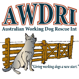 Australian Working Dog Rescue Int