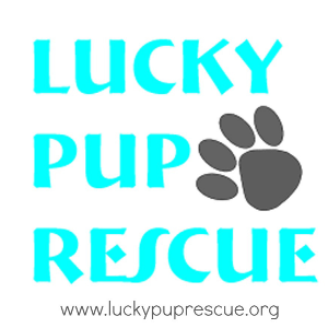 Lucky Pup Rescue, Inc Logo