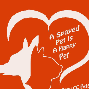 Spay Campbell County Tennessee  Pets