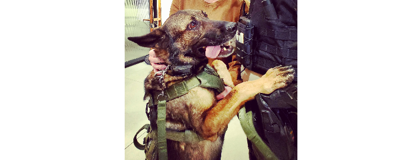 K9 Foundation Yakima Valley