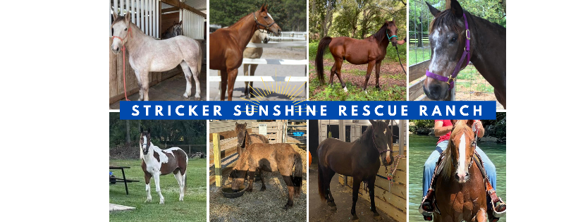 Stricker Sunshine Rescue Ranch
