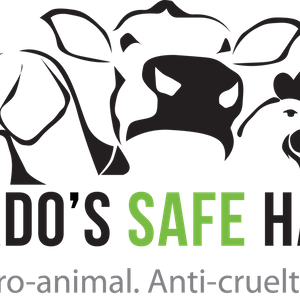 Pasado's Safe Haven Logo
