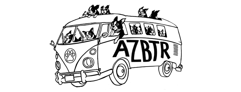 AZBT Rescue