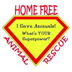 Home Free Animal Rescue