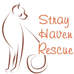 Stray Haven Rescue, Inc.