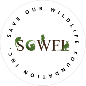 Save Our Wildlife Foundation Logo