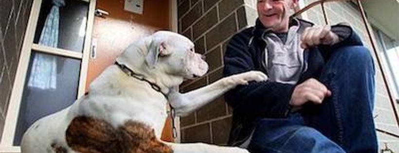 The Rainbow Paws Program