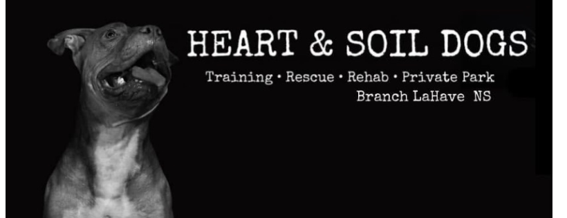 Heart and Soil Dogs