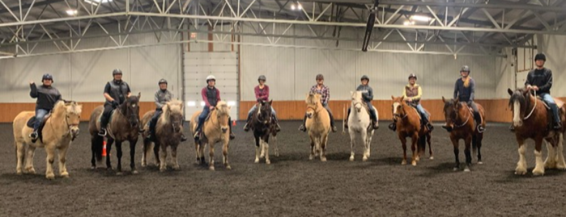 Opening Gaits Therapeutic Riding Society of Calgary