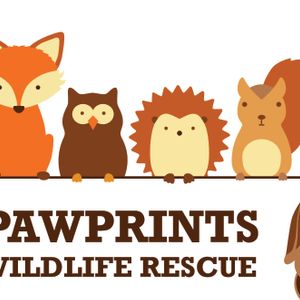 Pawprints Wildlife Rescue Logo