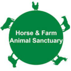 Horse and Farm animal sanctuary