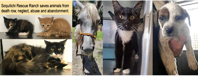 Soquilichi Rescue Ranch Inc
