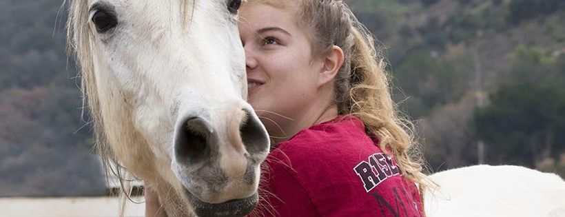 Falcon Ridge Equine Rescue