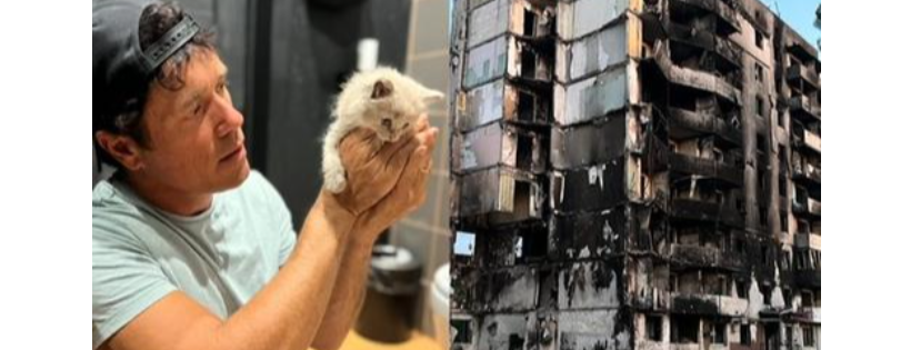 Animal Victory Disaster & Abuse Fund