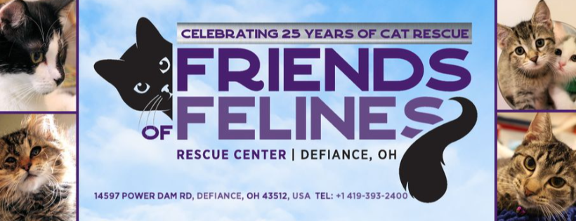 Friends of Felines Rescue Center Defiance Ohio
