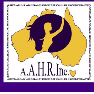 Australian Arabian Horse Rehoming - Aahri