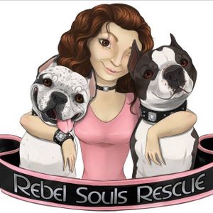 Rebel Souls Rescue Logo