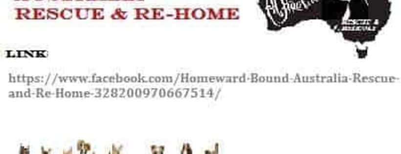 Homeward Bound Australia Rescue and Re-Home