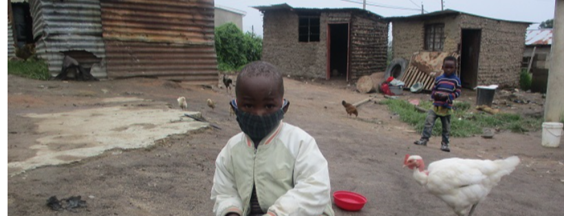 The SHAMBA Trust