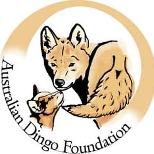Australian Dingo Foundation Logo