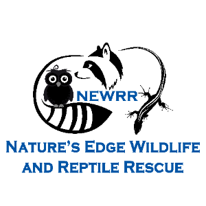 Nature's Edge Wildlife and Reptile Rescue Logo